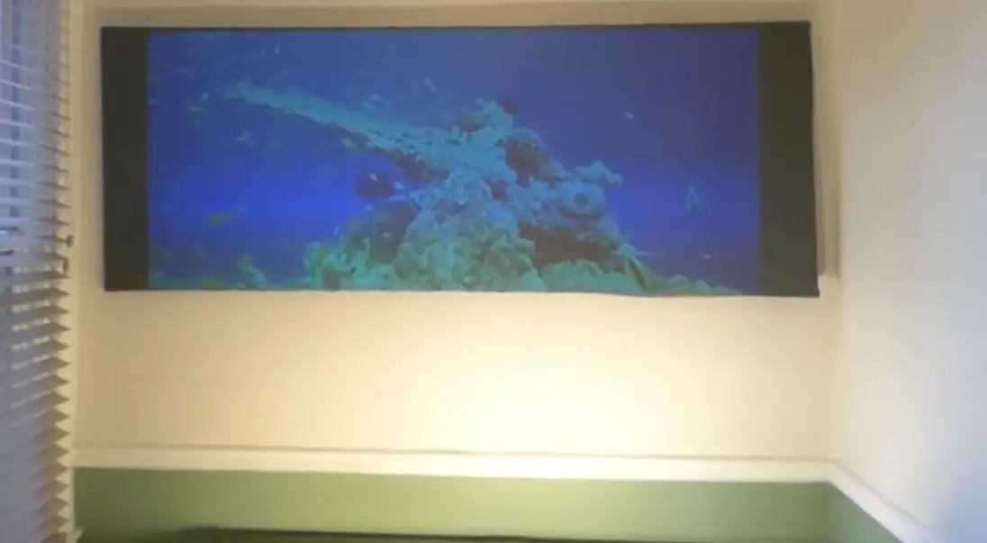 What Is Projector Screen Gain? Here's What Experts Say