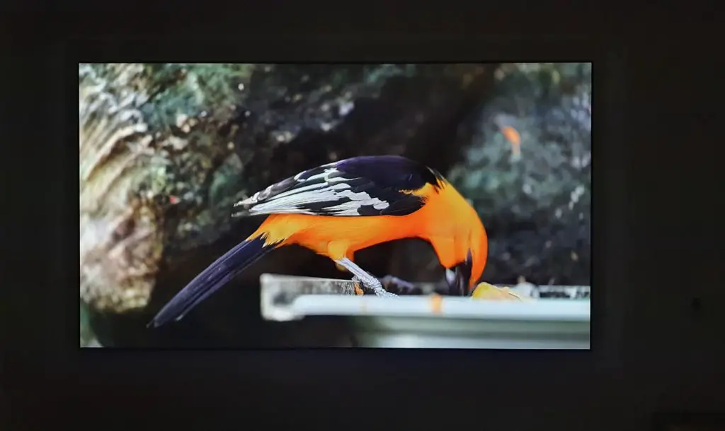 1080p-vs-4k-projector-can-you-tell-the-difference