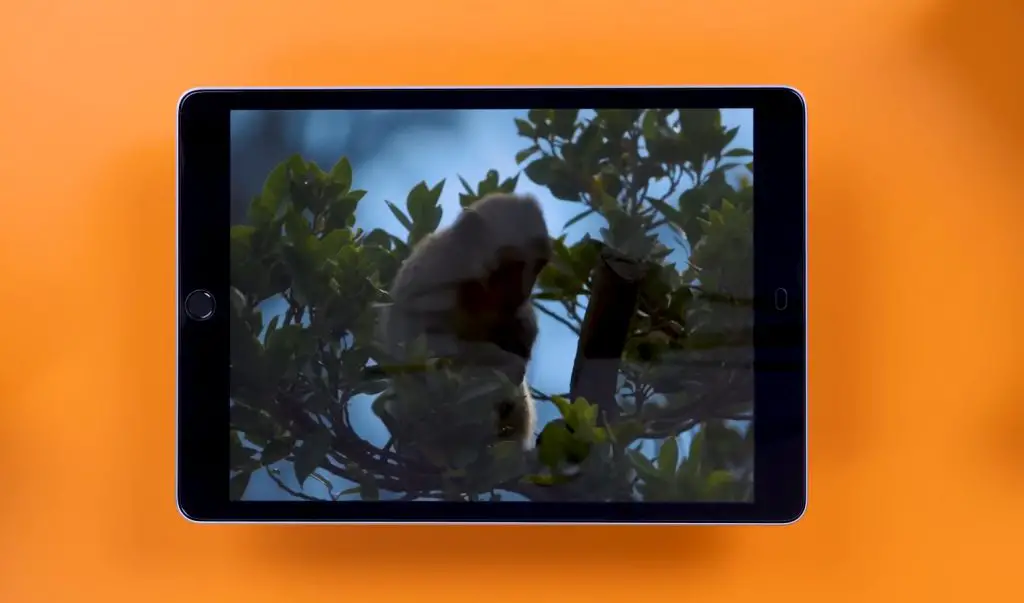 Does the iPad have a USB Port? Detailed explanation